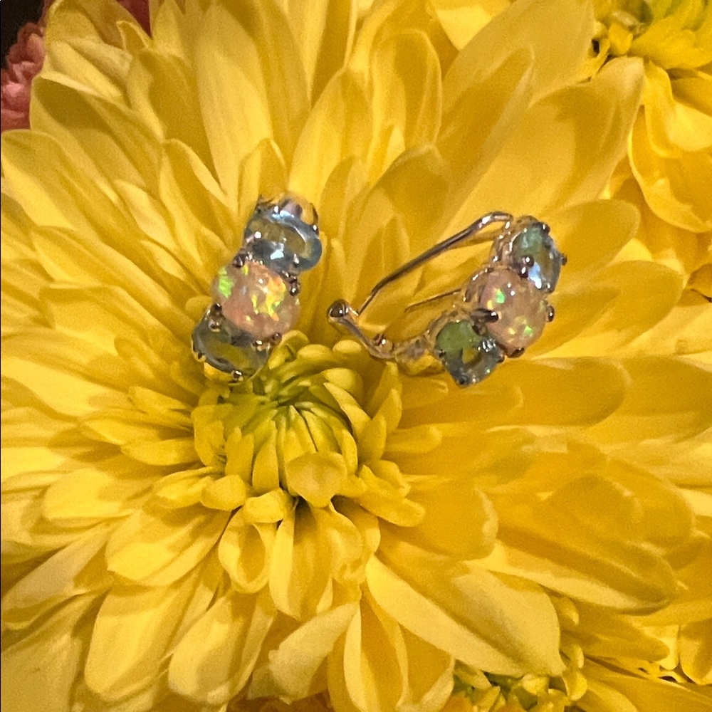 Elegant Opal and Blue Stone Earrings
